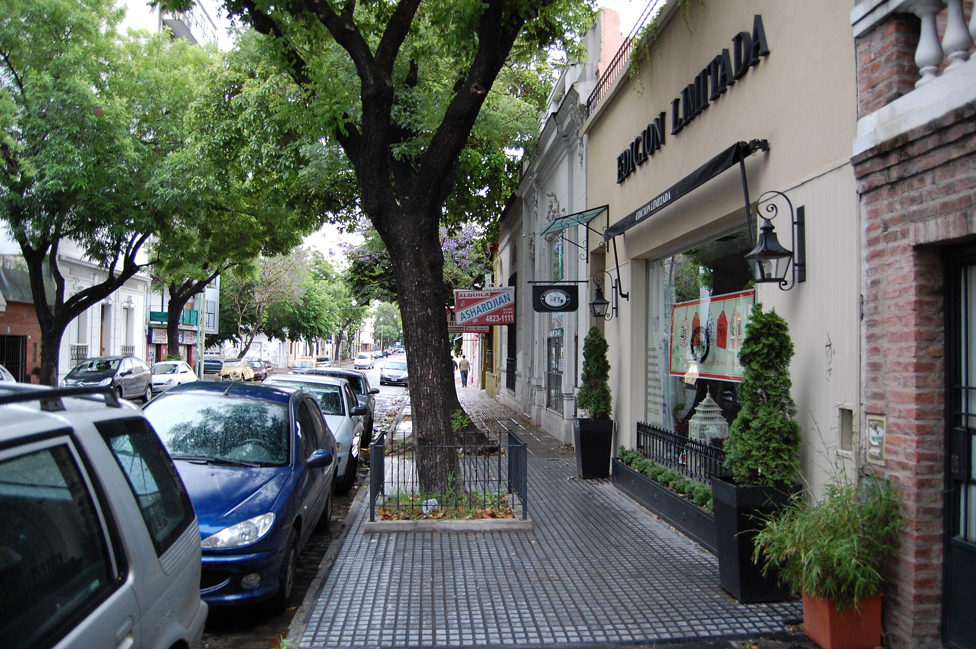 Calle arbolada de Palermo Soho en Buenos Aires