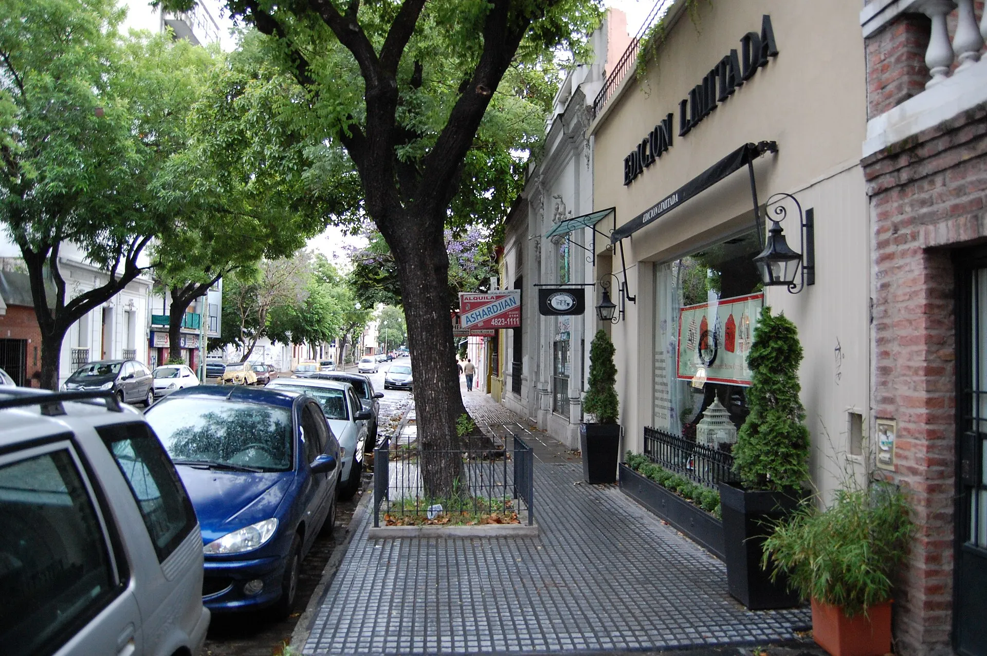 Calle arbolada de Palermo Soho en Buenos Aires
