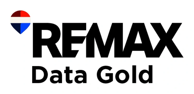 REMAX Data Gold