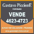 GUSTAVO PICCIONE PROPIEDADES