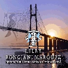 Estudio LRM
