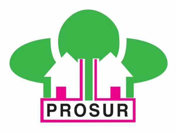 Propiedades Prosur