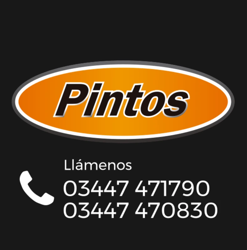 Pintos Propiedades