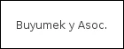 Buyumek y Asoc.