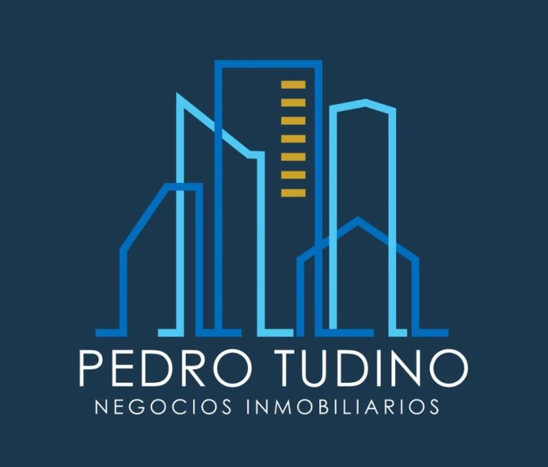 PEDRO TUDINO Negocios Inmobiliarios