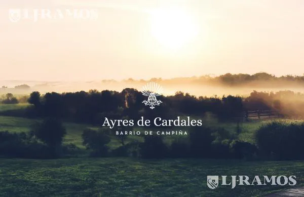 Ayres de Cardales