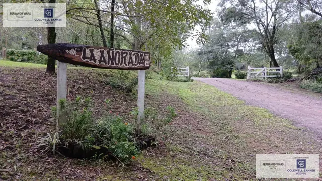 Terrenos en Cadillal - Loteo LA AÑORADA - Escrituras/ Luz / Agua