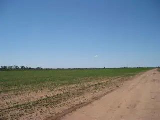 CAMPO AGRÍCOLA EN LAS LAJITAS PROVINCIA DE SALTA foto 2