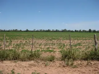 CAMPO AGRÍCOLA EN LAS LAJITAS PROVINCIA DE SALTA foto 3