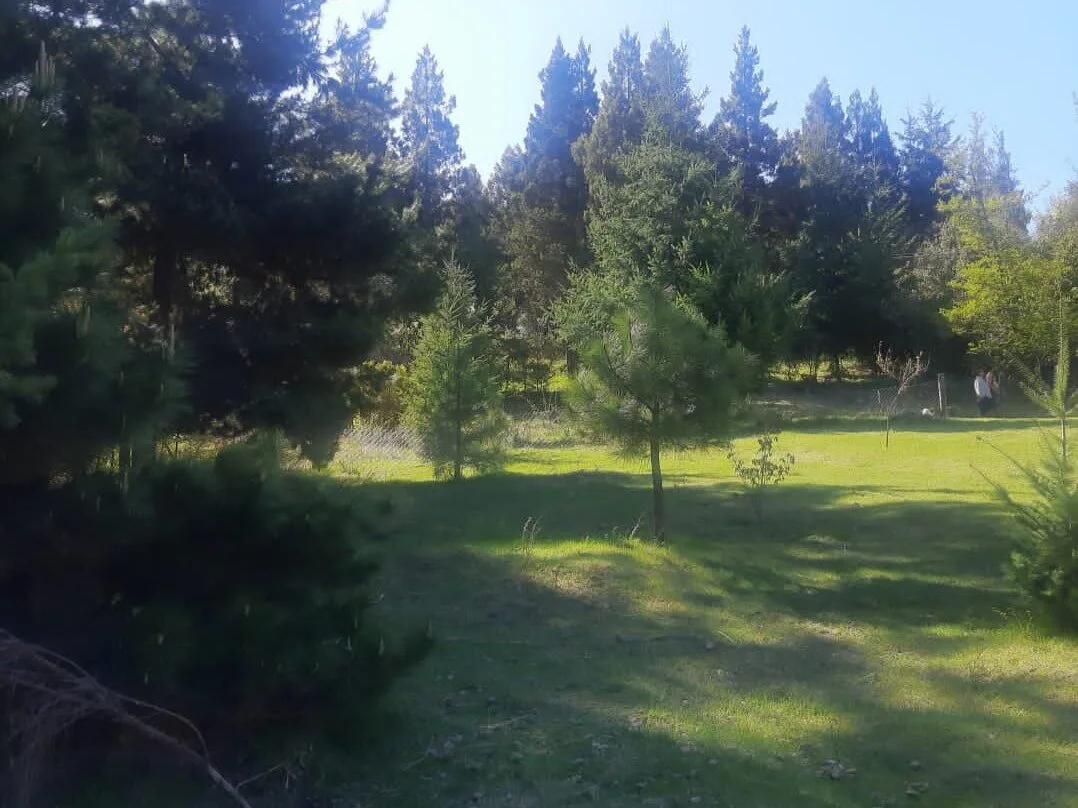 ️ ¡OPORTUNIDAD EN MALLÍN AHOGADO! Gran Terreno de 2003 m² sobre Camino Principal ️ foto 5