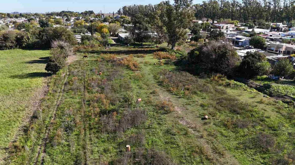 VENTA CAMPO CON PLANO DE LOTEO APROBADO EN ROJO SN foto 4
