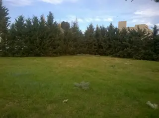 terreno venta bahia blanca Barrio  Los Horneros foto 2
