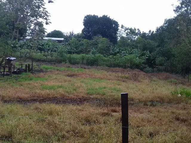 VENTA DE TERRENOS EN LA LOCALIDAD DE PANAMBI