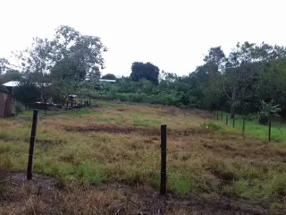 VENTA DE TERRENOS EN LA LOCALIDAD DE PANAMBI foto 2