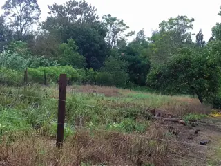 VENTA DE TERRENOS EN LA LOCALIDAD DE PANAMBI foto 4