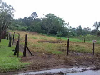 VENTA DE TERRENOS EN LA LOCALIDAD DE PANAMBI foto 5