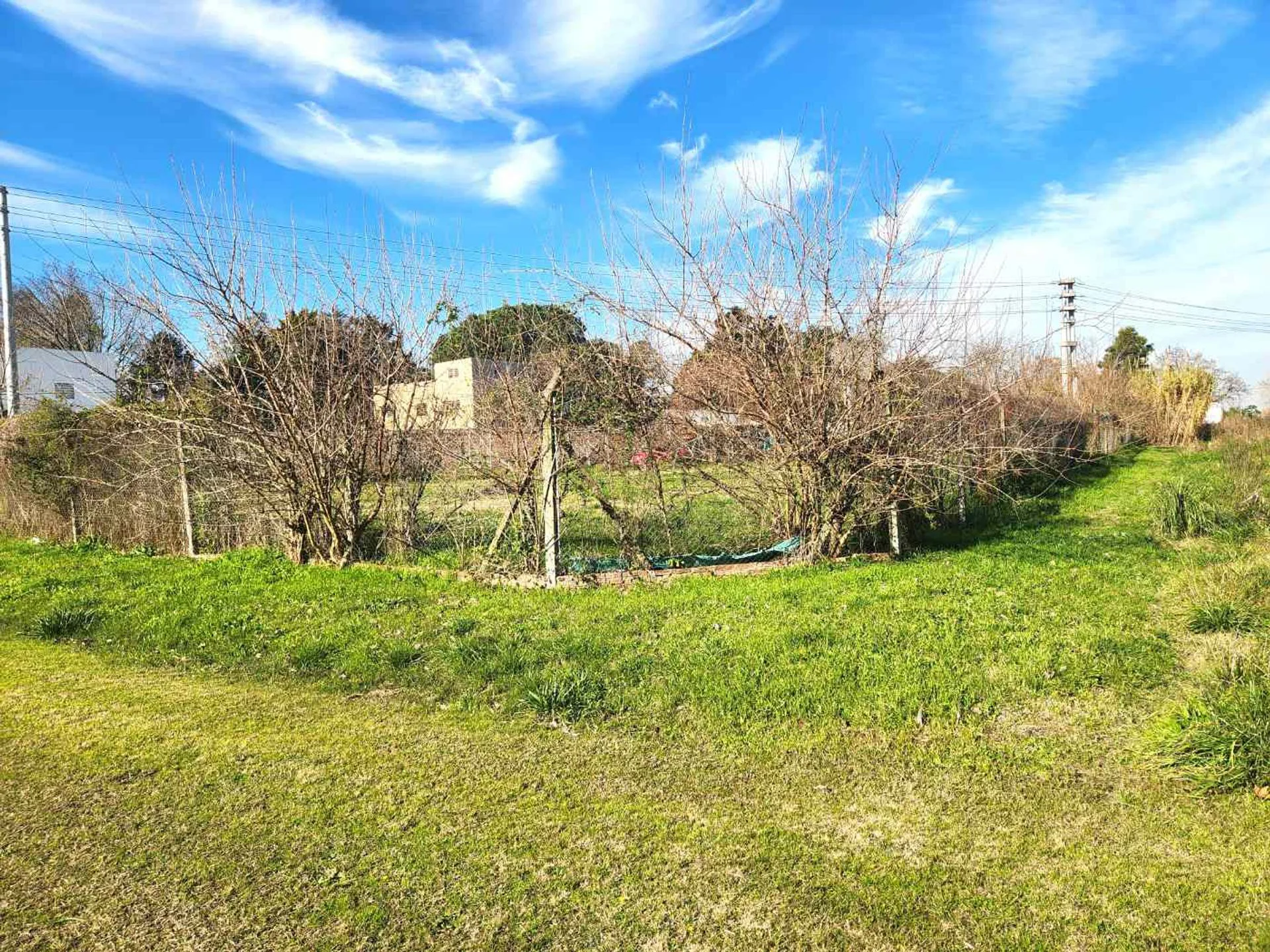 VENTA LOTE 1241 m2 BUENA ZONA GENERAL RODRIGUEZ foto 5