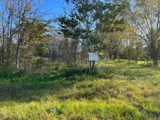 Vendo Terreno de 2.228 M2 en Herrera, Entre Ríos. foto 3