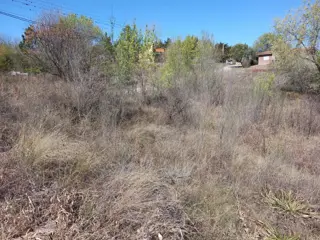 LOTE  en playas de oro de san antonio,  a una cuadra del rio, lote de 636, en la esquina de Tte Marisa y Cabo Varas, con todos los servicios y escritu foto 2