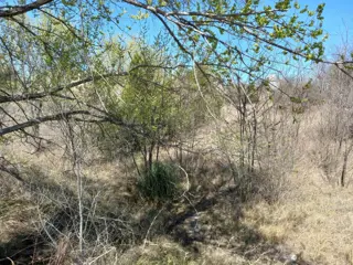 LOTE  en playas de oro de san antonio,  a una cuadra del rio, lote de 636, en la esquina de Tte Marisa y Cabo Varas, con todos los servicios y escritu foto 3