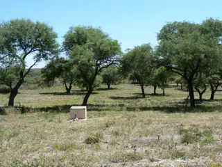 VENDO EXCELENTE TERRENO EN SAN MARCOS SIERRAS, 2 HA PARQUIZADAS, ALAMBRADAS CON LUZ Y AGUA U$S 64.500 foto 1