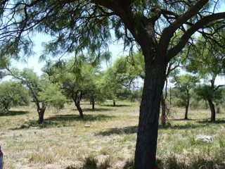 VENDO EXCELENTE TERRENO EN SAN MARCOS SIERRAS, 2 HA PARQUIZADAS, ALAMBRADAS CON LUZ Y AGUA U$S 64.500 foto 2