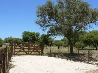 VENDO EXCELENTE TERRENO EN SAN MARCOS SIERRAS, 2 HA PARQUIZADAS, ALAMBRADAS CON LUZ Y AGUA U$S 64.500 foto 3