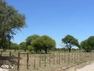 VENDO EXCELENTE TERRENO EN SAN MARCOS SIERRAS, 2 HA PARQUIZADAS, ALAMBRADAS CON LUZ Y AGUA U$S 64.500 foto 4