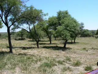 VENDO EXCELENTE TERRENO EN SAN MARCOS SIERRAS, 2 HA PARQUIZADAS, ALAMBRADAS CON LUZ Y AGUA U$S 64.500 foto 5
