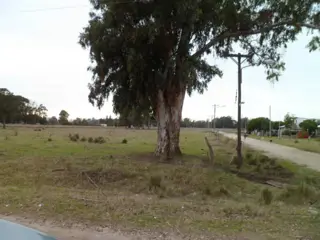 VTA. LOTE EL CASAL ZONA 1500 QUINTAS foto 1