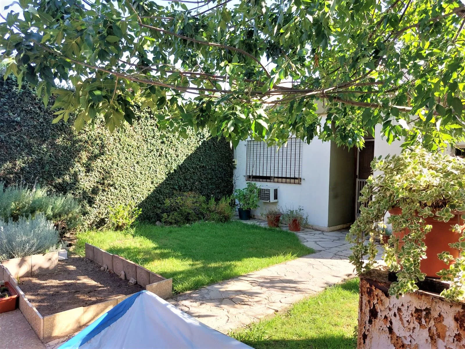 Venta Casa Multifamiliar-Malaver foto 2