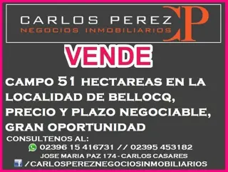 CAMPO DE 51 HECTAREAS EN BELLOCQ foto 1