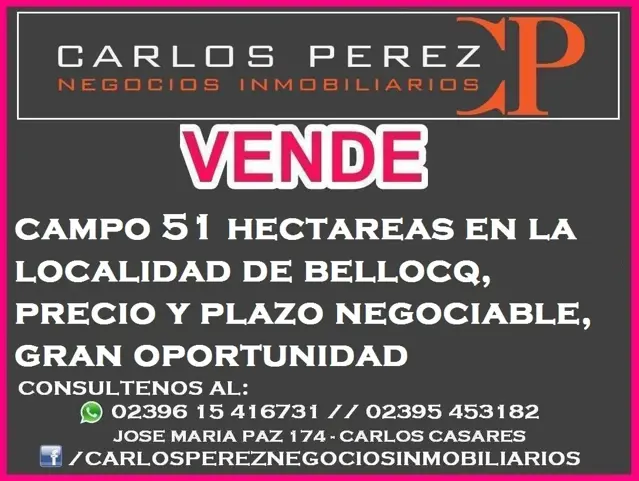 CAMPO DE 51 HECTAREAS EN BELLOCQ