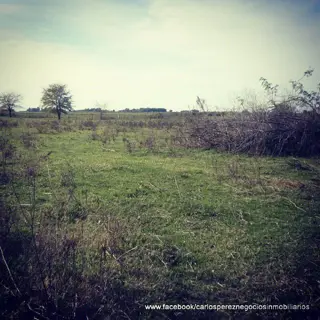 CAMPO DE 51 HECTAREAS EN BELLOCQ foto 2