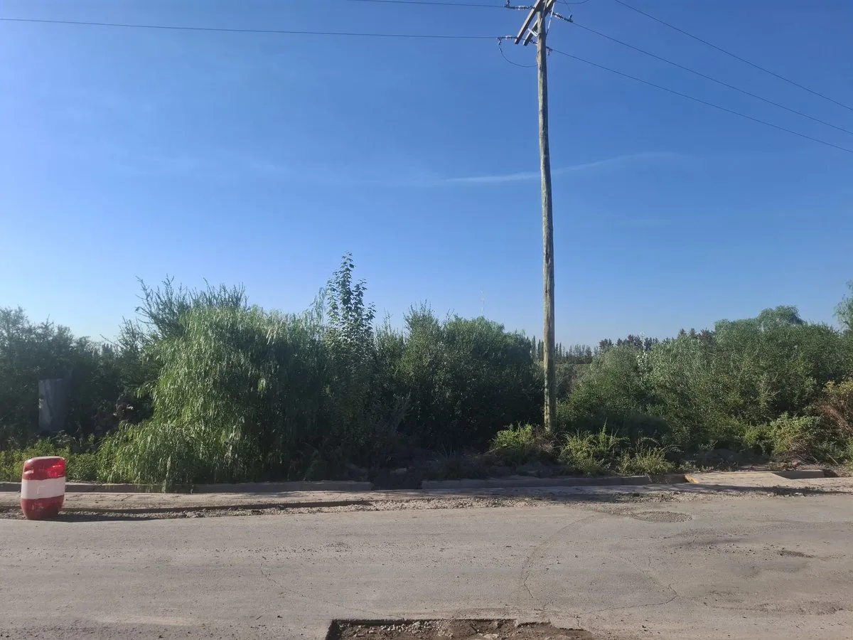VENTA GRAN TERRENO 1,5 HA CON POTENCIAL LAS HERAS foto 4