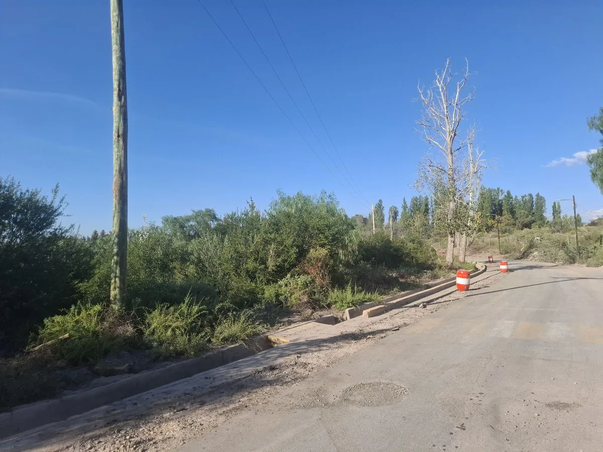 VENTA GRAN TERRENO 1,5 HA CON POTENCIAL LAS HERAS foto 5
