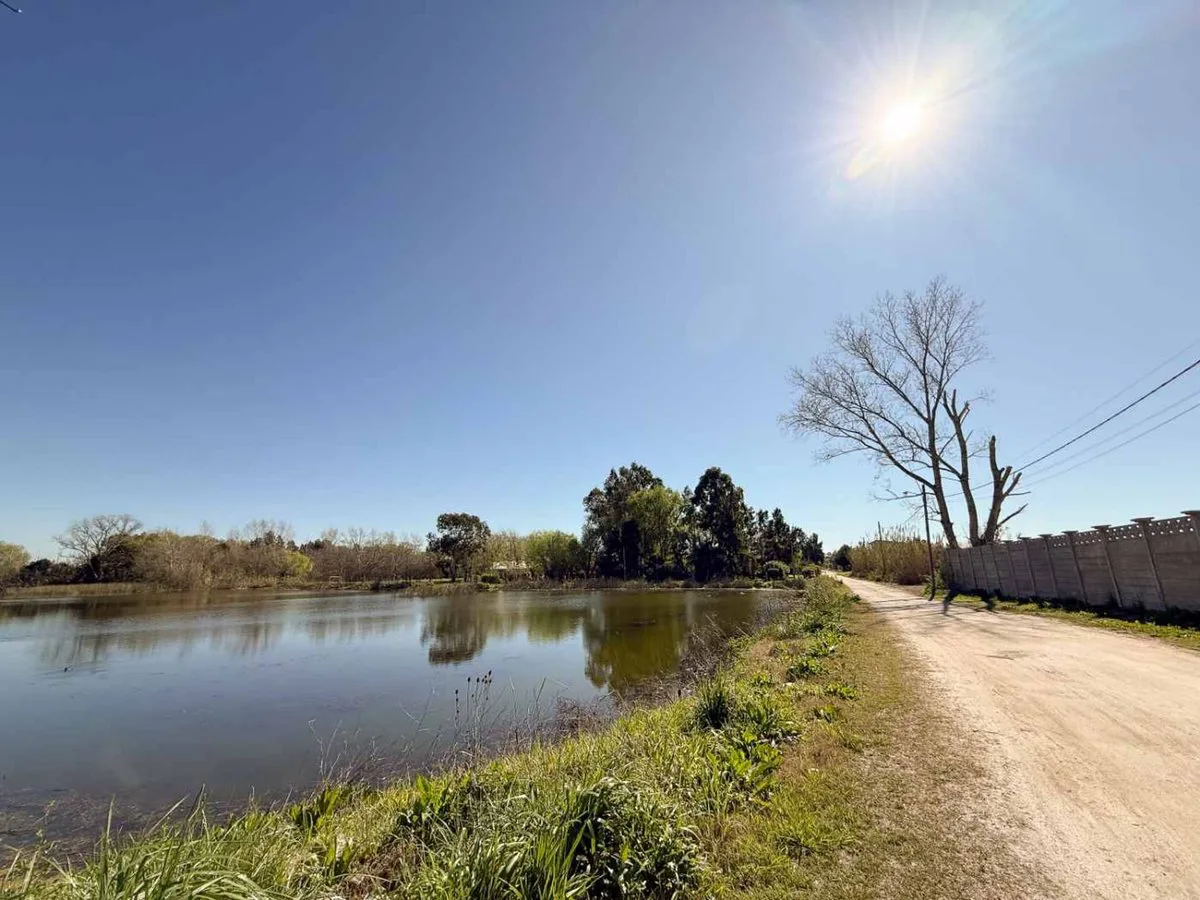 LOTE EN VENTA EN BERISSO 1.000 M2 foto 2