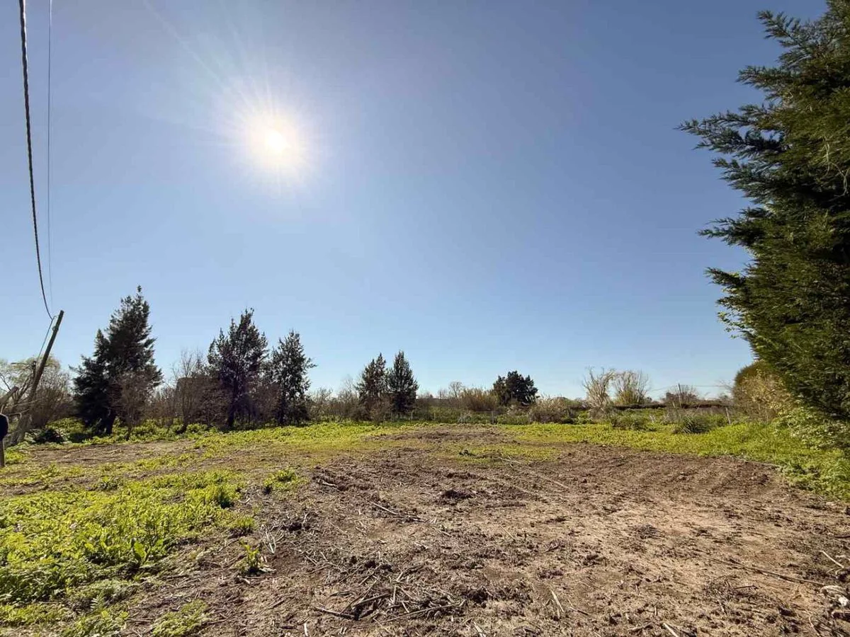 LOTE EN VENTA EN BERISSO 1.000 M2 foto 3