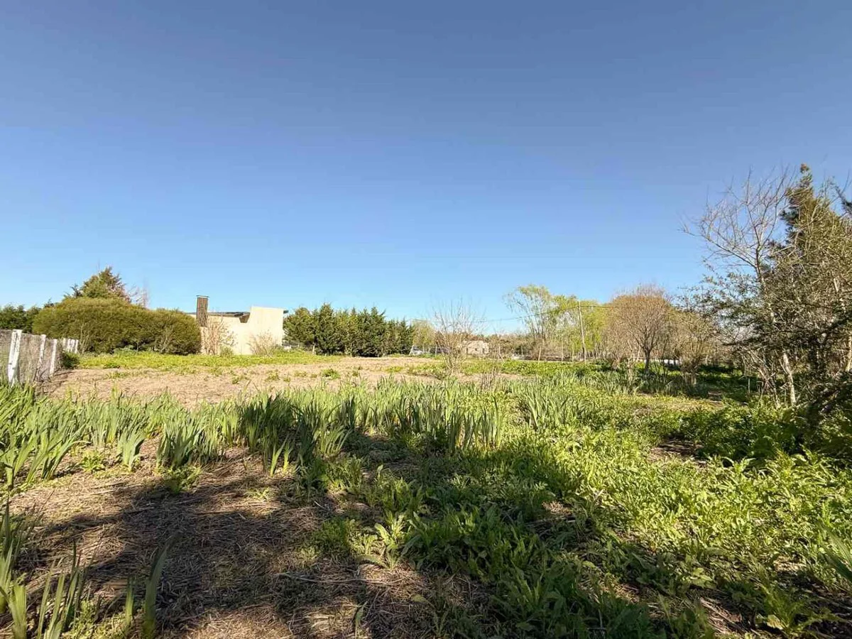 LOTE EN VENTA EN BERISSO 1.000 M2 foto 4