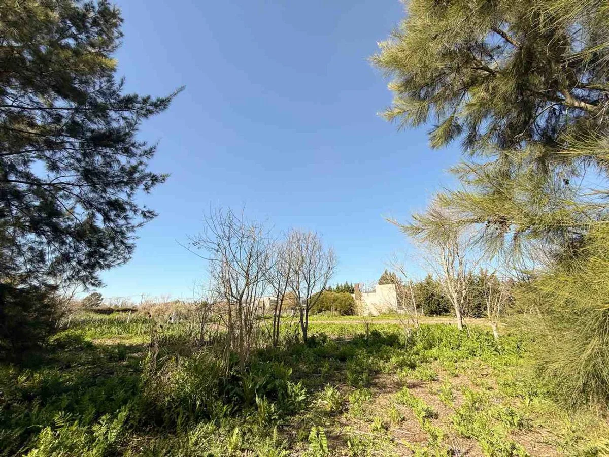 LOTE EN VENTA EN BERISSO 1.000 M2 foto 5