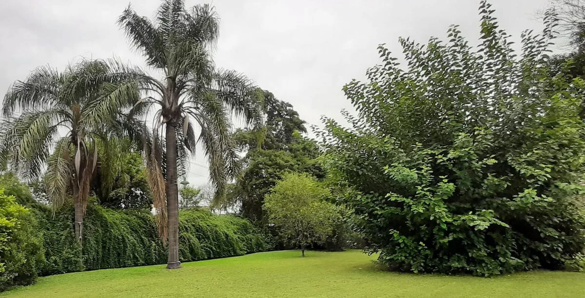 LOTE DE 360 METROS EN VILLA RIVERA INDARTE foto 4
