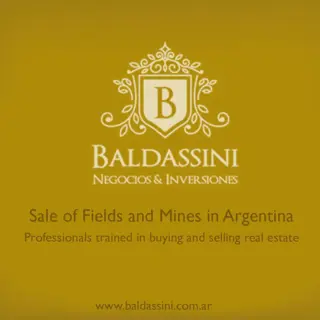 MINA DE LITIO EN EL SALAR DE LOS DIABLILLOS - SALTA - LINDERA A EMPRESA EN ETAPA AVANZADA DE EXPLORACIÓN/EXPLOTACIÓN foto 3