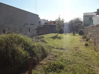 LOTE DE 300M² - CAAGUAZU 836 C.MADERO foto 2