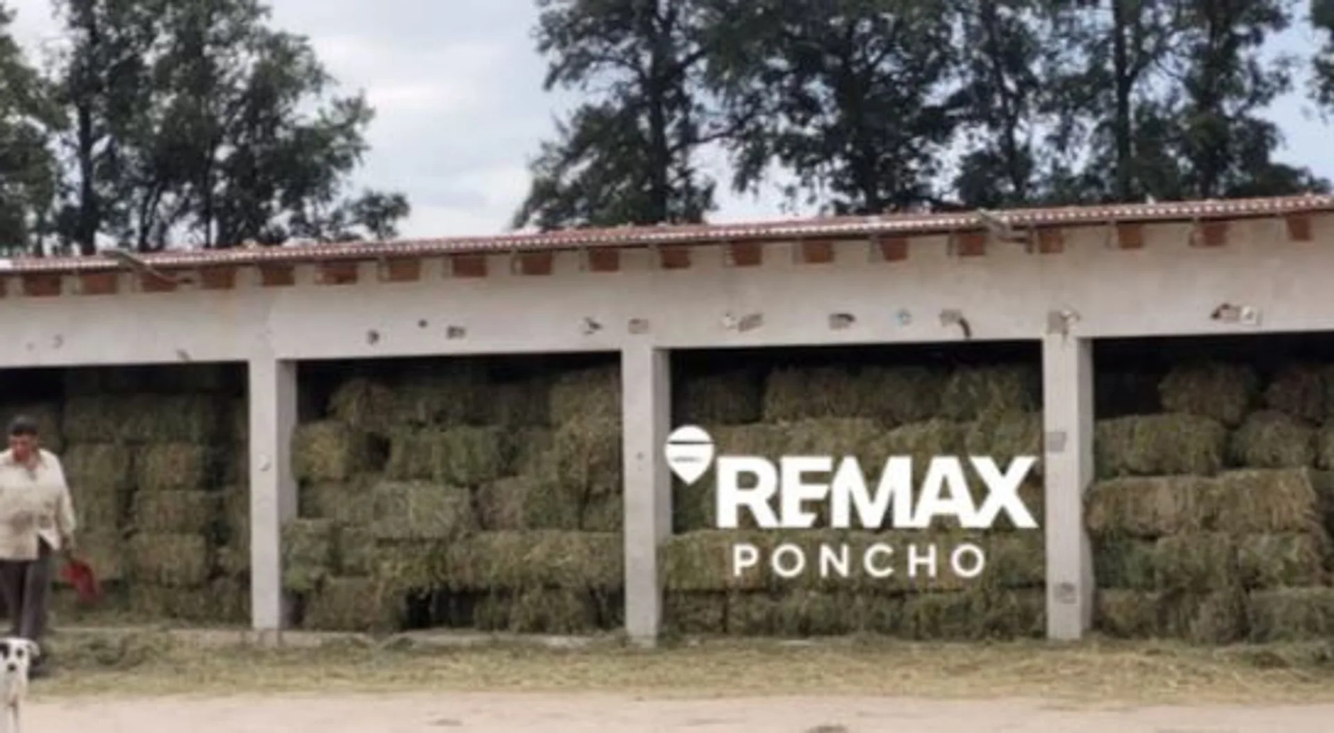 SE VENDE FINCA AGRÍCOLA 16HEC. EN NUEVA CONETA foto 4