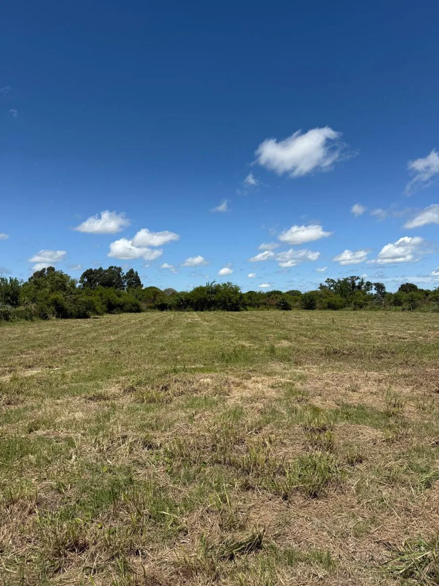 LOTE EN VENTA UBICADO EN LOTEO LA VIEJA ESTACION foto 2