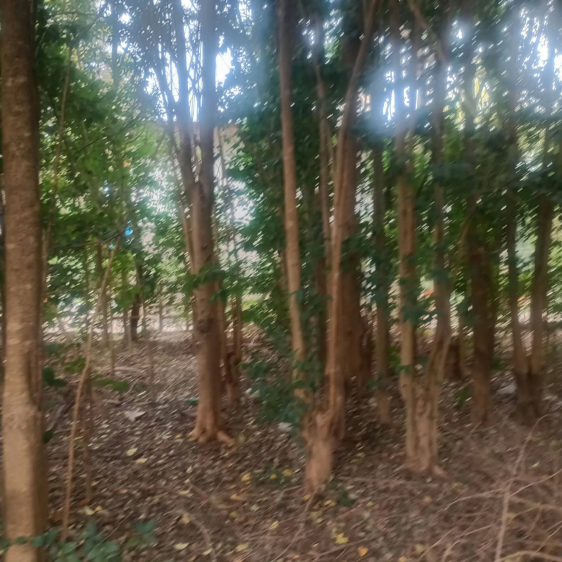 LOTE EN VILLA PQUE LOS REARTES EXCELENTE UBICACION foto 5