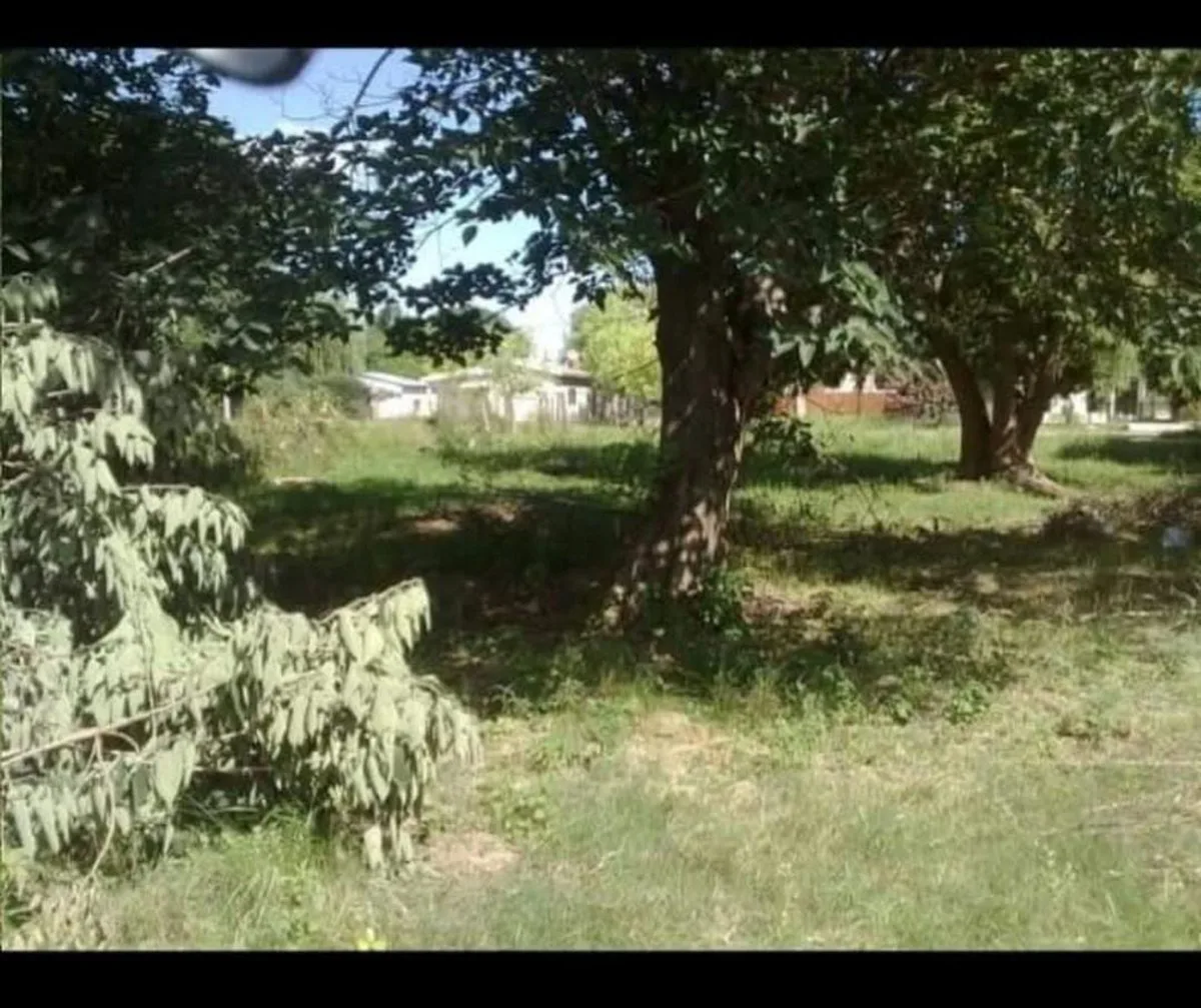VENTA TERRENO 1250m² - PUERTO GABOTO foto 3