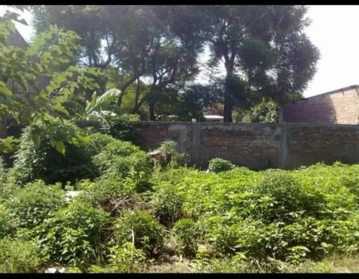 VENTA TERRENO 1250m² - PUERTO GABOTO foto 4
