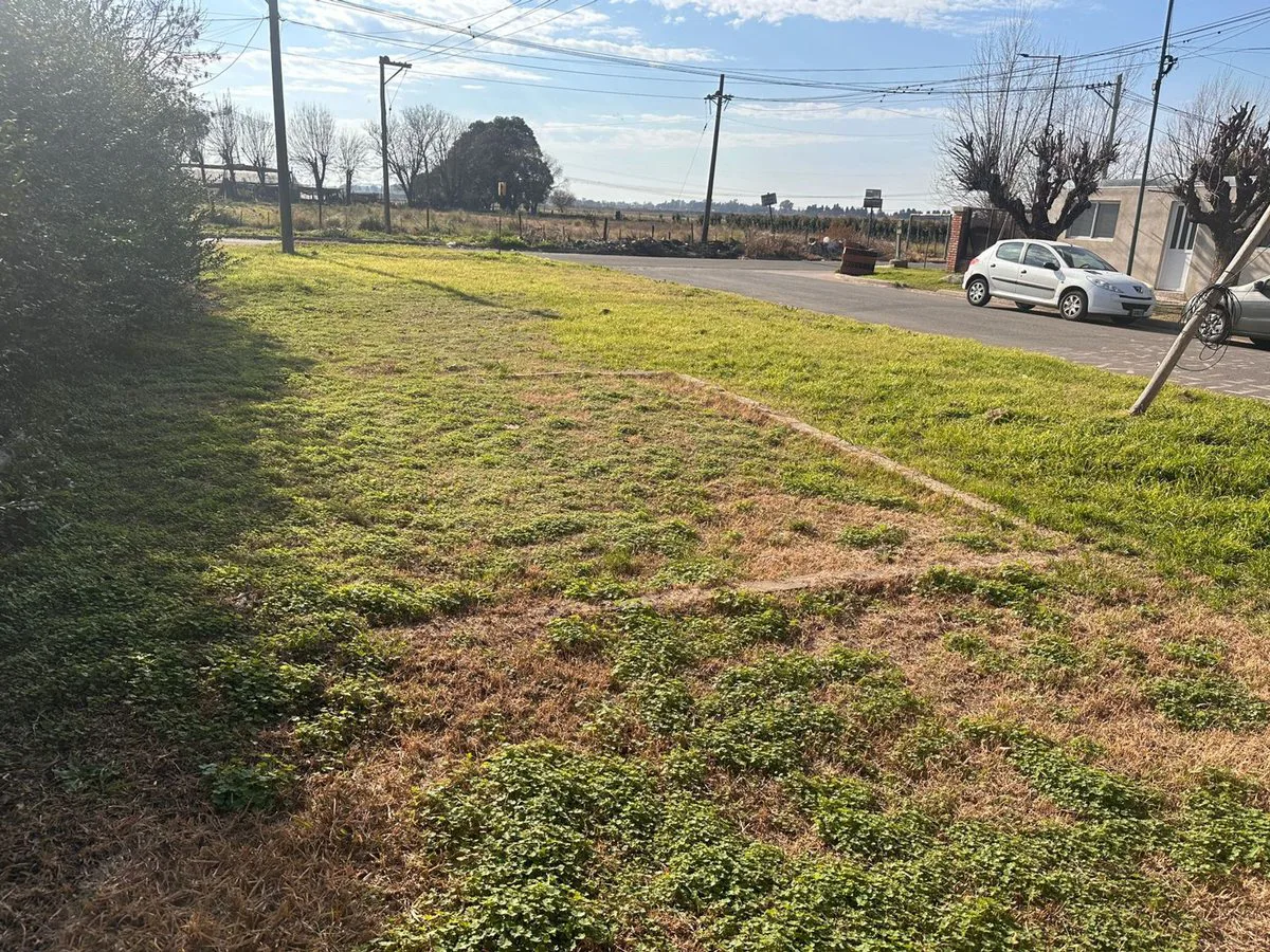 VENTA-TERRENO-SAN NICOLAS-LA EMILIA foto 3