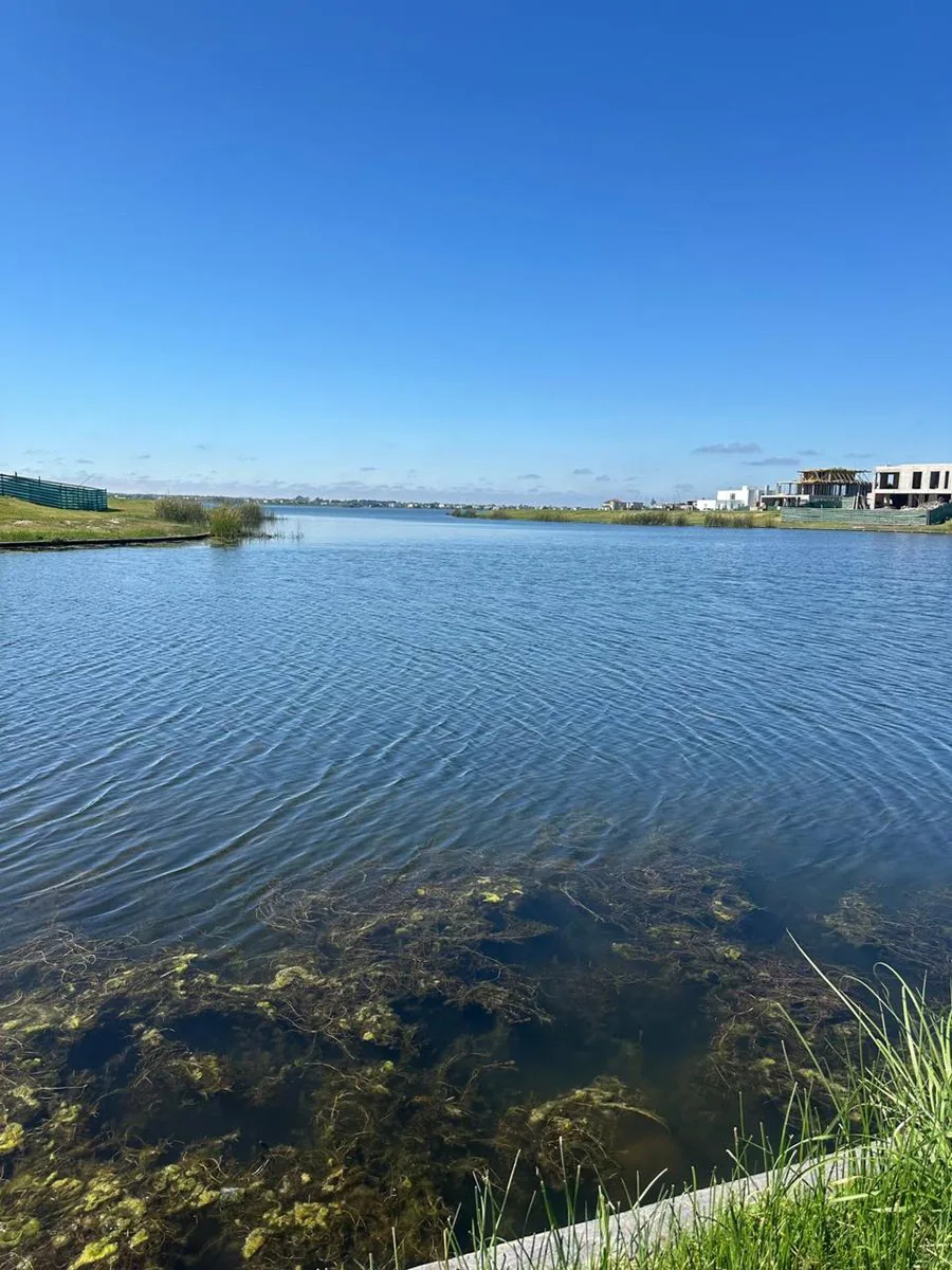 LOTE VENTA BARRIO AMARRAS PUERTOS  AL LAGO CENTRAL foto 2